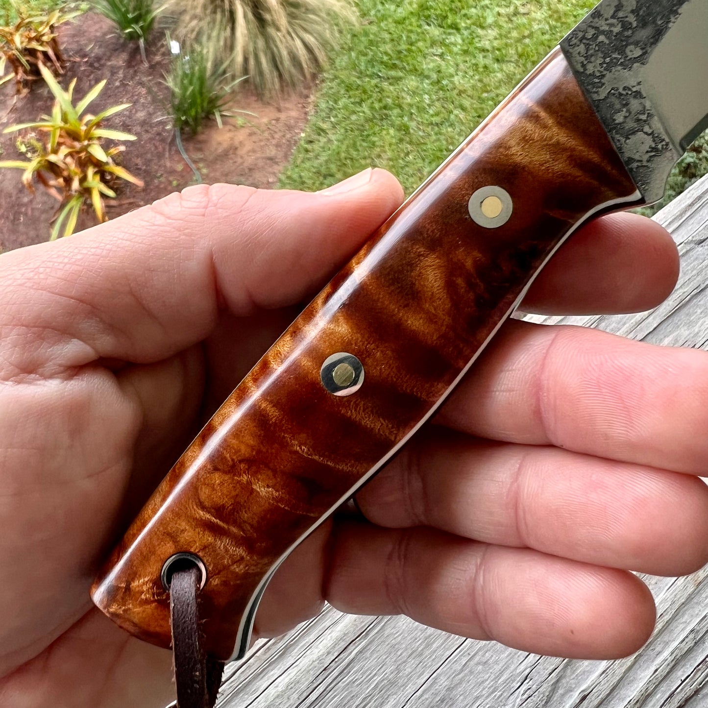 CRETUL LIMITED Mountain Hiker Model - Curly Maple