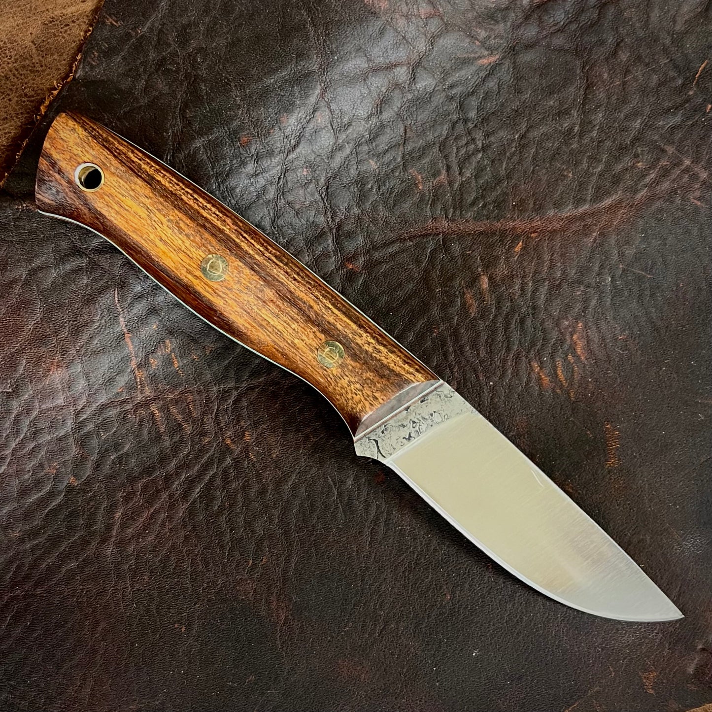 CRETUL LIMITED - Hundo Model - Rosewood 2