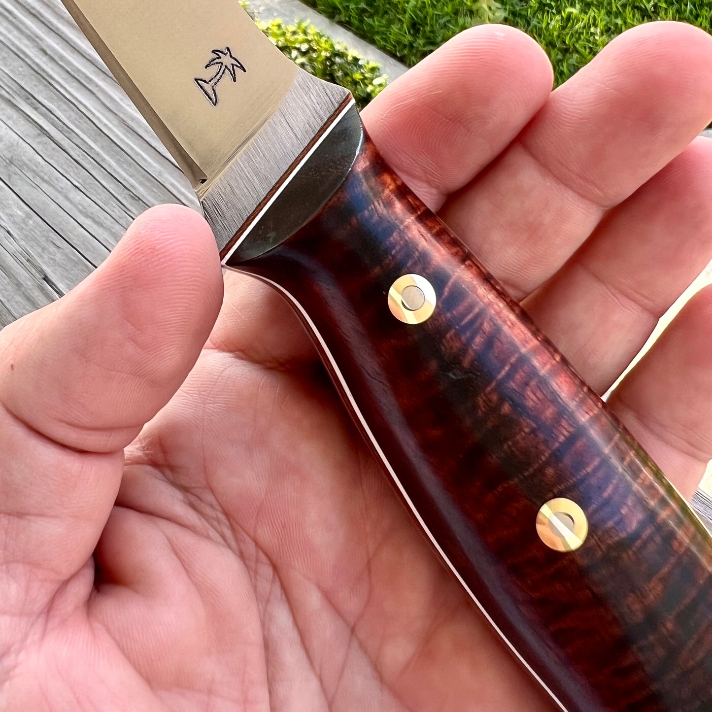 CRETUL LIMITED - Fillet Knife - Koa (Select Grade)
