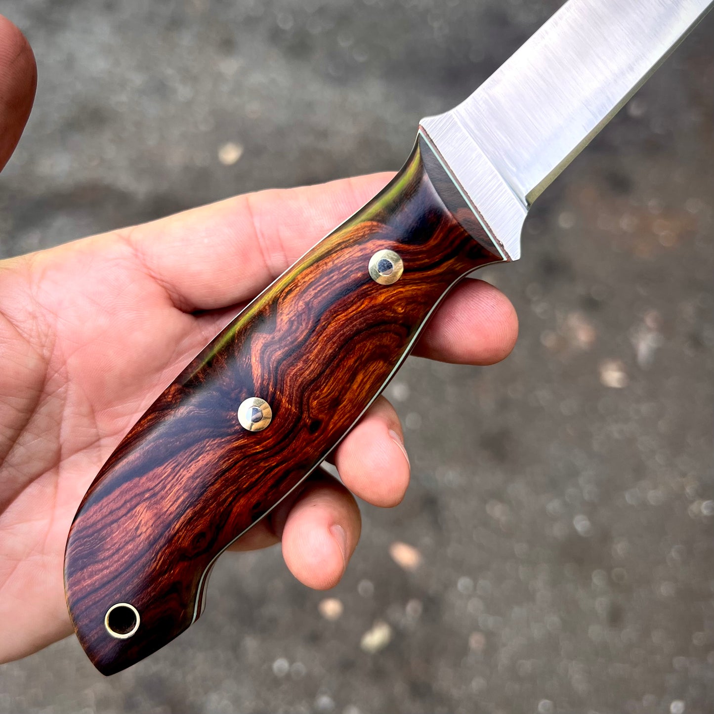 CRETUL LIMITED - Fillet Knife - Desert Ironwood