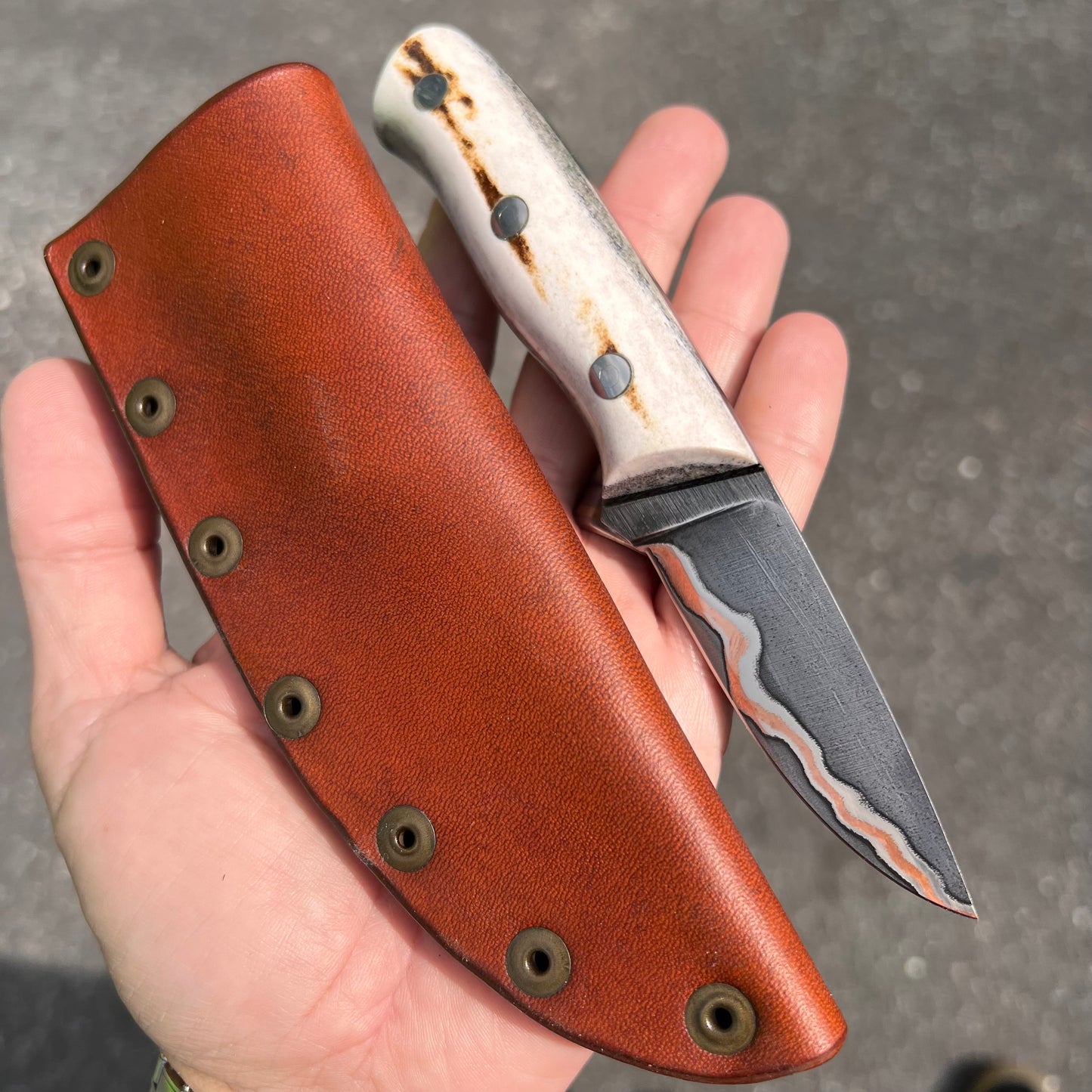 CRETUL LIMITED - CuMai Gents Knife - Stag