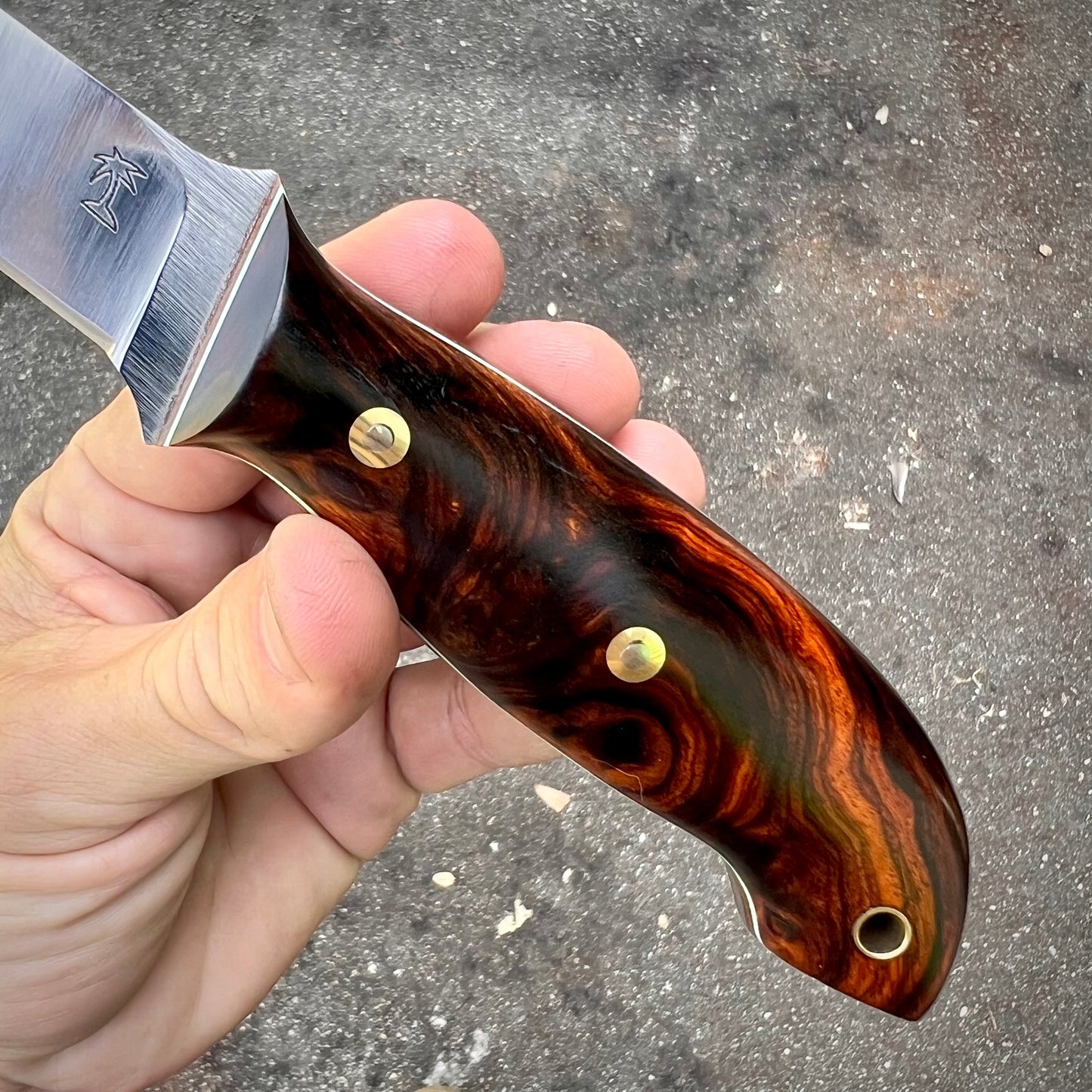 CRETUL LIMITED - Fillet Knife - Desert Ironwood