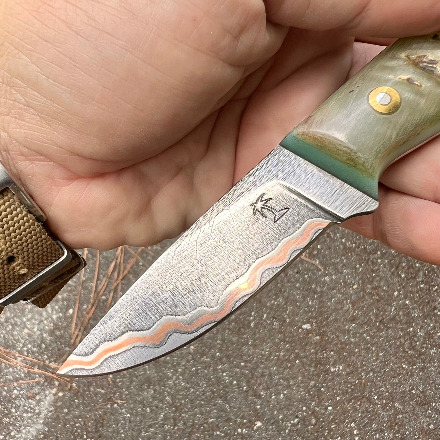 CRETUL LIMITED - CuMai Gents Knife - Ram Horn