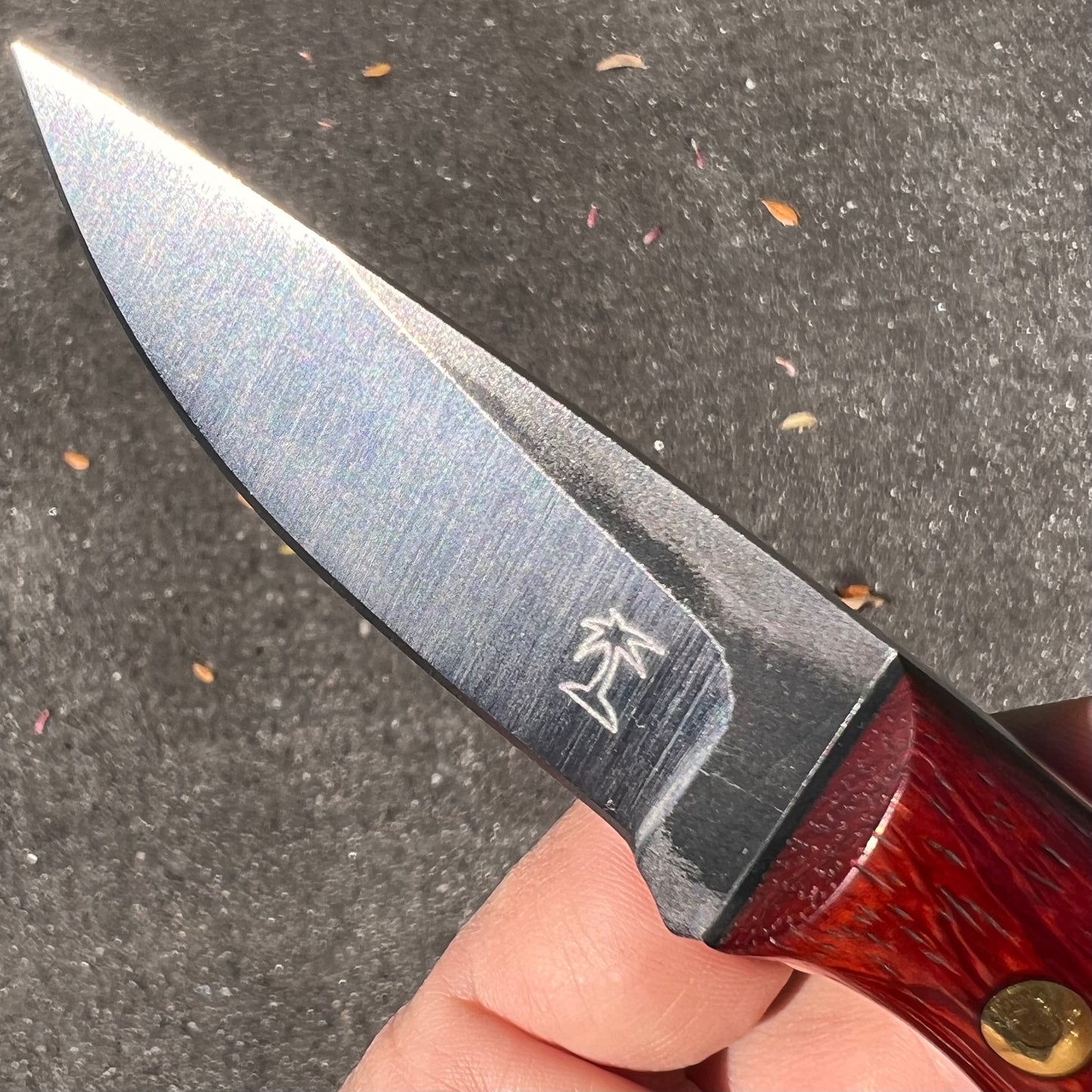 CRETUL LIMITED Gents Knife - Padauk - Pre-Owned