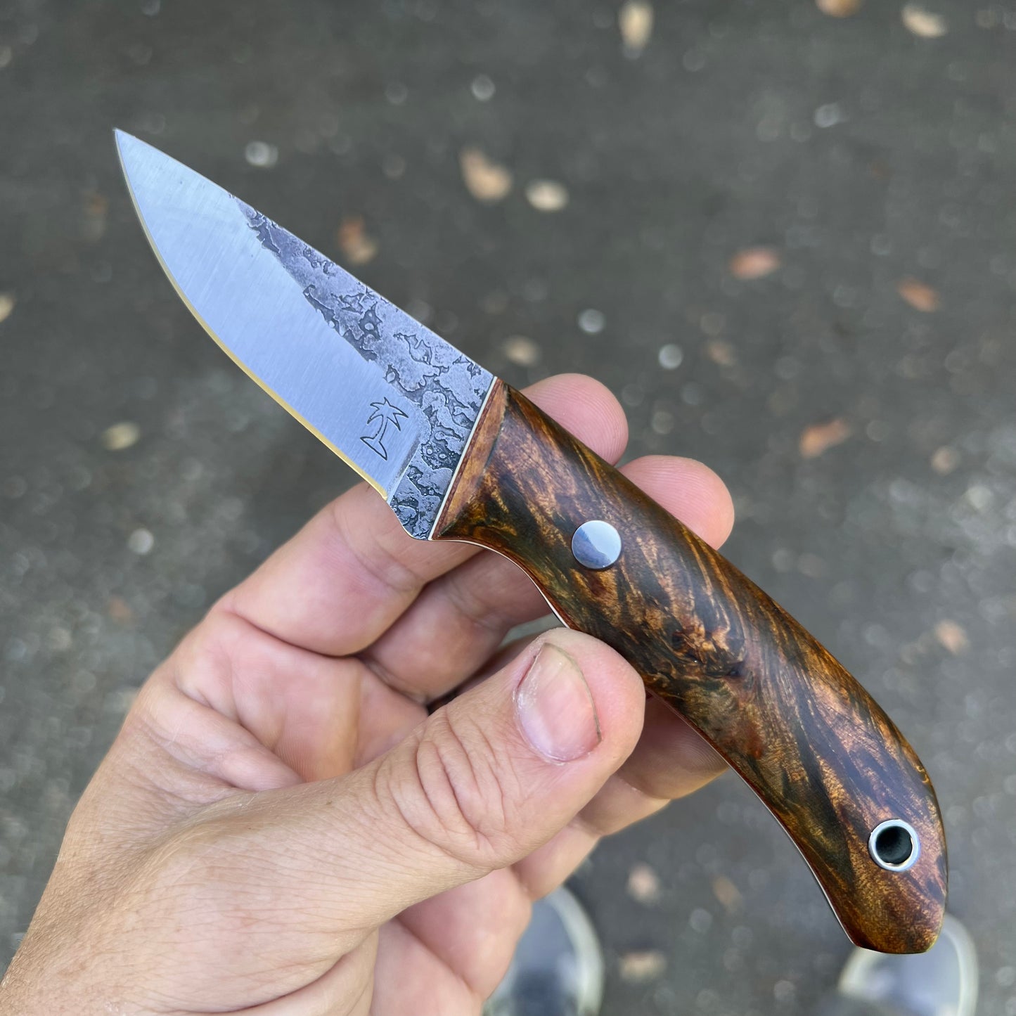 CRETUL LIMITED EDC Model - Flamed Maple