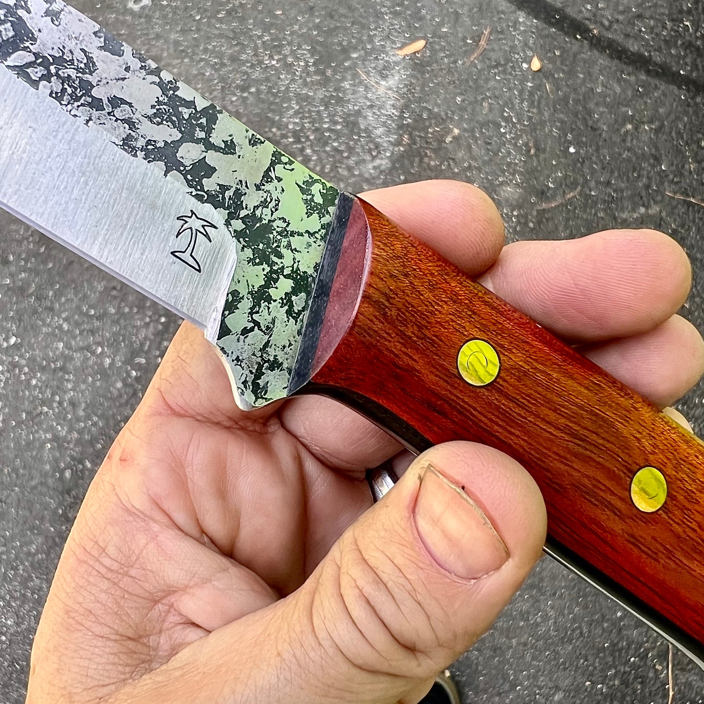 CRETUL LIMITED Kephart Model - Bloodwood