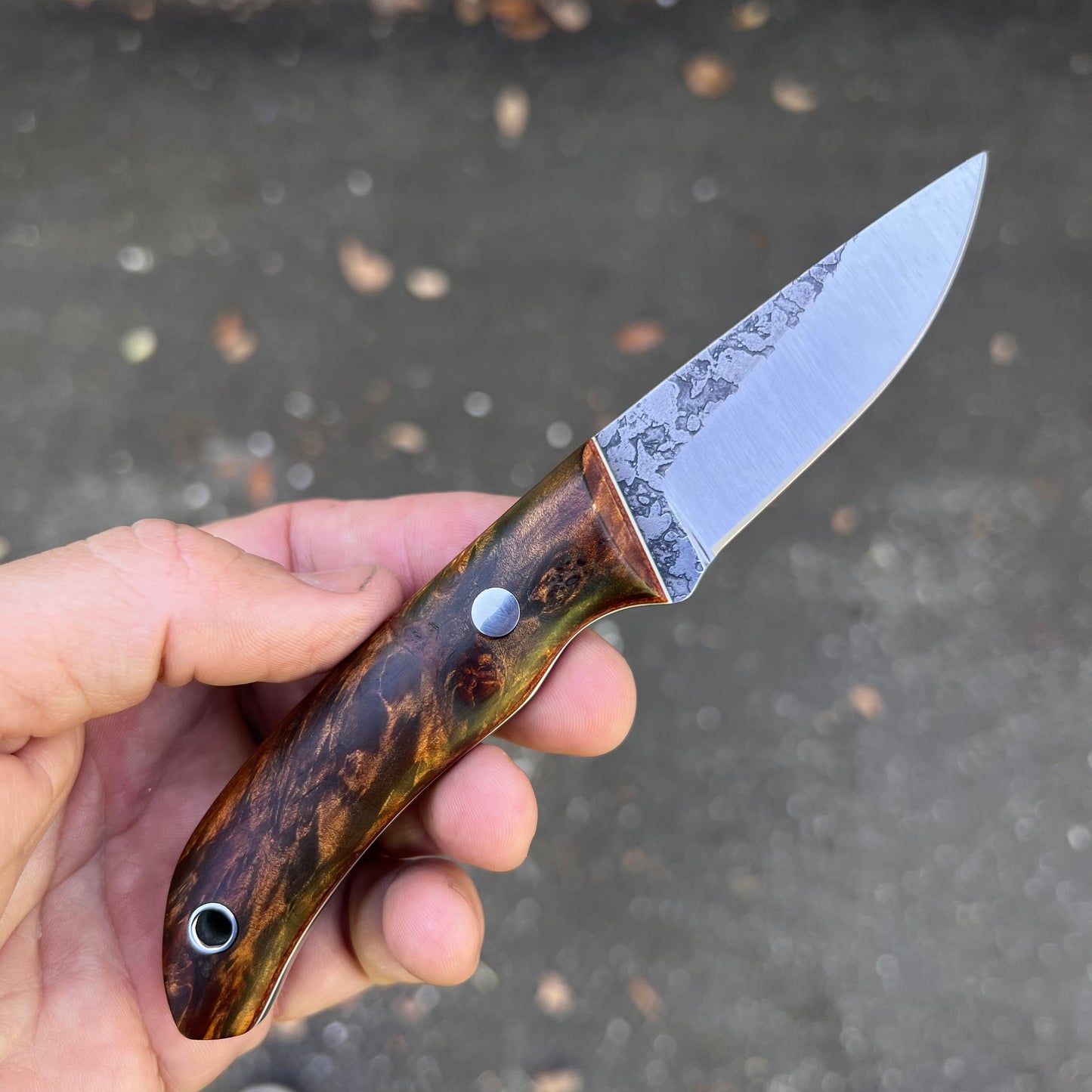 CRETUL LIMITED EDC Model - Flamed Maple