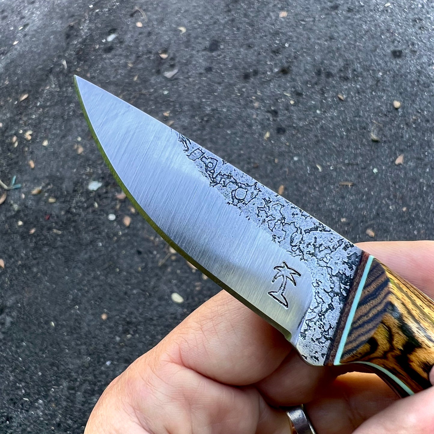 CRETUL LIMITED EDC Model - Bocote